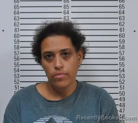 Mugshot of JUDY LEANN DERUE PERKINS booked in Stephens County, Oklahoma on April 4, 2026