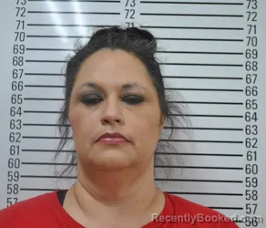 Mugshot of JENNIFER SHAY HEALER booked in Stephens County, Oklahoma on May 19, 2026