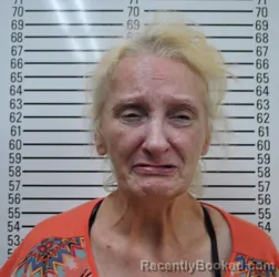 Mugshot of PATRICIA RENEE GRAHAM booked in Stephens County, Oklahoma on June 19, 2026