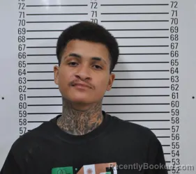 Mugshot of DAYLAN MARKELLE HOLLOWAY booked in Stephens County, Oklahoma on July 2, 2026