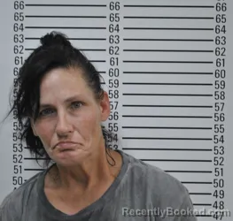 Mugshot of Ashlee Renae Terry