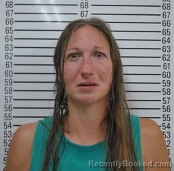 Mugshot of Christina Lynne Essay