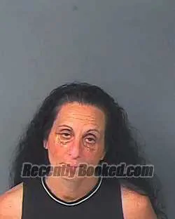 Booking photo from Hernando County, Florida