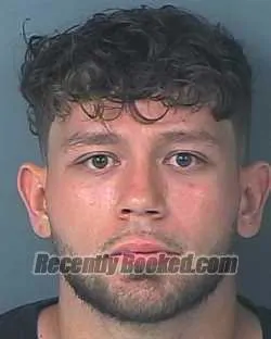 Booking photo from Hernando County, Florida