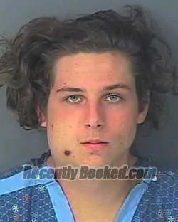 Landen Nicholas Robert Runyon Mugshot & Arrest Info | Hernando County, FL