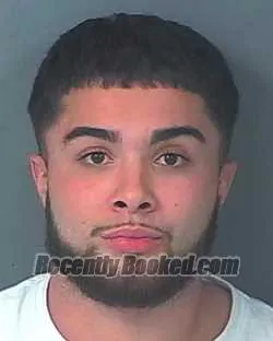 Booking photo from Hernando County, Florida