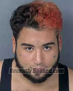 Booking photo from Hernando County, Florida