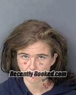 Booking photo from Hernando County, Florida