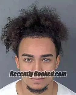 Booking photo from Hernando County, Florida