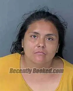 Booking photo from Hernando County, Florida