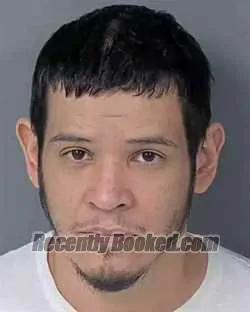 Booking photo from Hernando County, Florida