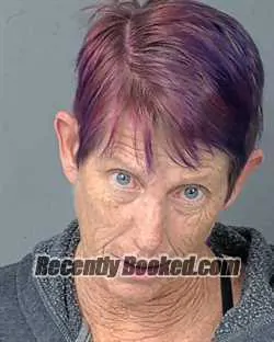 Booking photo from Hernando County, Florida