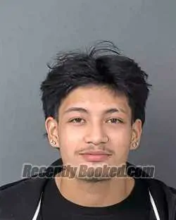 Booking photo from Hernando County, Florida