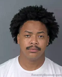Booking photo from Hernando County, Florida