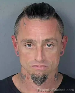 Mugshot of RYAN ANDREW PAYNE