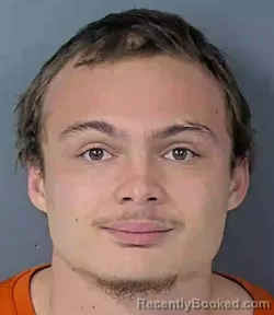 Mugshot of ROBERT LJ WILKINS