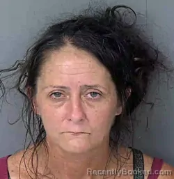 Booking photo from Hernando County, Florida