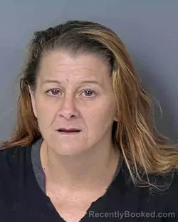 Booking photo from Hernando County, Florida