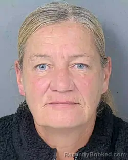 Booking photo from Hernando County, Florida