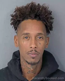 Booking photo from Hernando County, Florida