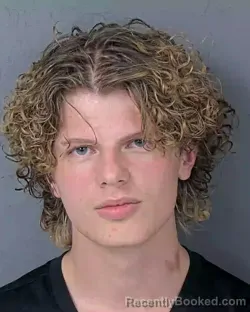 Booking photo from Hernando County, Florida