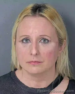 Booking photo from Hernando County, Florida