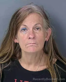 Booking photo from Hernando County, Florida