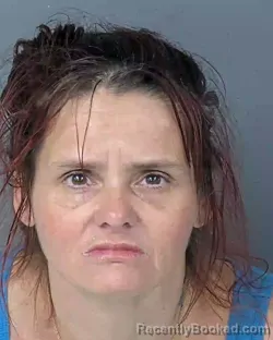 Booking photo from Hernando County, Florida