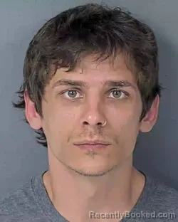 Booking photo from Hernando County, Florida