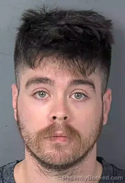 Booking photo from Hernando County, Florida