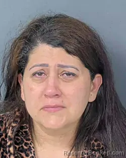 Mugshot of YOLIMAR BRUNETTI