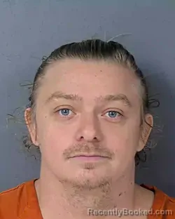 Mugshot of RYAN COOK