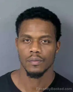 Booking photo from Hernando County, Florida