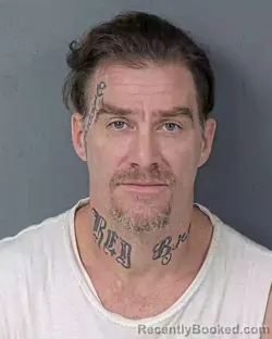 Booking photo from Hernando County, Florida