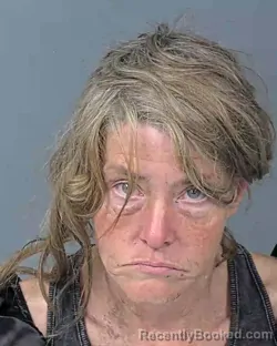 Mugshot of DOLLY ANNE BRACKENS