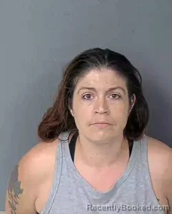 Booking photo from Hernando County, Florida