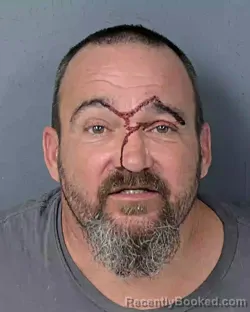 Booking photo from Hernando County, Florida