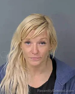 Booking photo from Hernando County, Florida