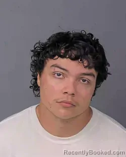 Booking photo from Hernando County, Florida