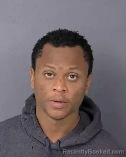 Booking photo from Hernando County, Florida