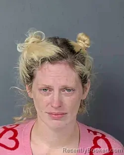 Booking photo from Hernando County, Florida