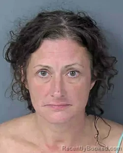 Mugshot of MINDY SUSAN DAVIDSON KRAMER