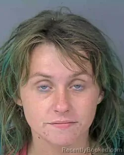 Mugshot of SHANIA ANN WISENHUNT