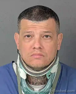 Booking photo from Hernando County, Florida