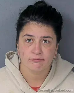 Booking photo from Hernando County, Florida