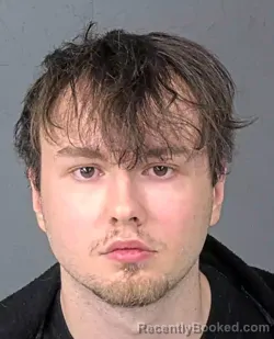 Booking photo from Hernando County, Florida