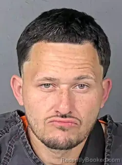 Booking photo from Hernando County, Florida