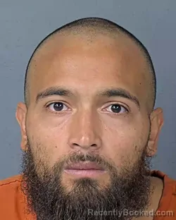 Booking photo from Hernando County, Florida