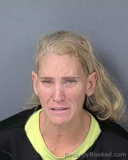 Booking photo from Hernando County, Florida