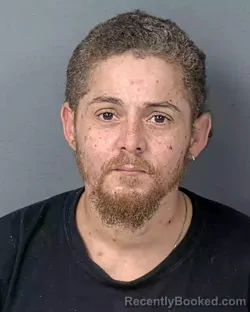 Mugshot of JOSE MANUEL POMALES